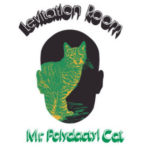 LEvitation Room - Mr. Polydactyl Cat