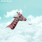 Alta Falls - Trust Me